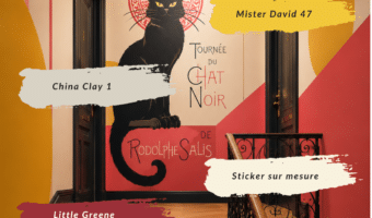 Inspiration « Un chat noir dans la cage… »